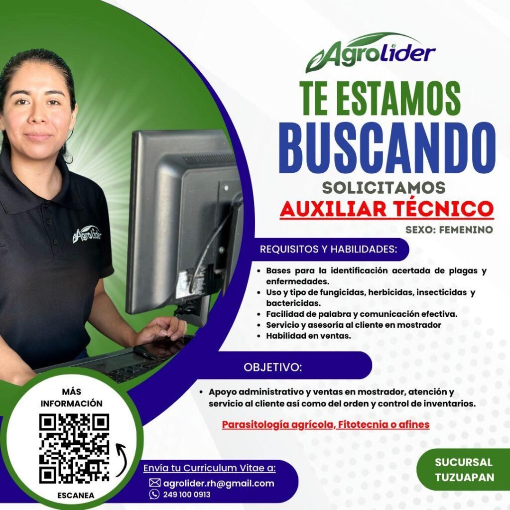 Auxiliar Técnico