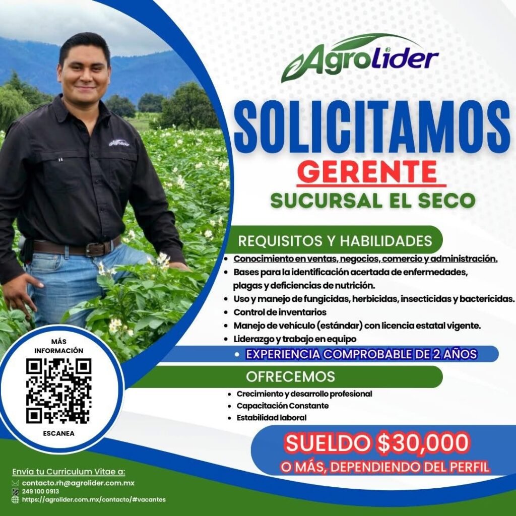 Gerente Sucursal El Seco